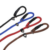 Corde en nylon pour chien de compagnie Slip Training P-Leash Walking Leading Collar 